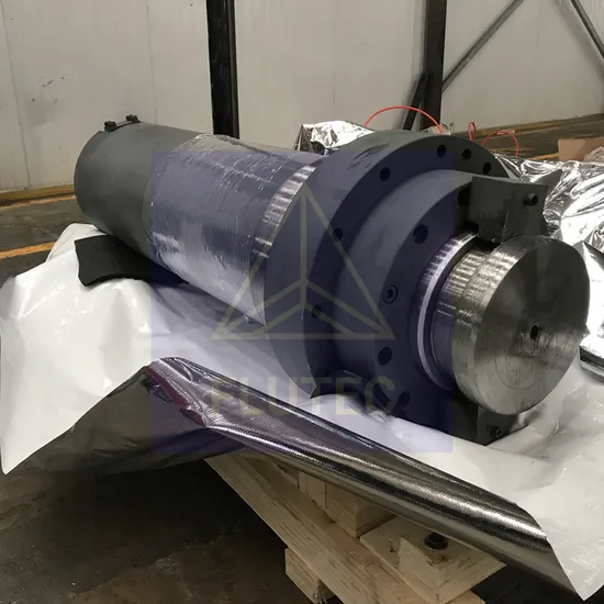China Hot Sale 200ton Press Cylinder Made in China 
